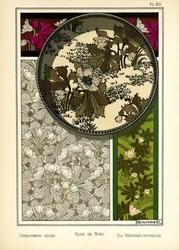 La rosa di Natale